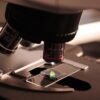 From Fossil Resources to Biomass: A Chemistry Perspective - Image 3